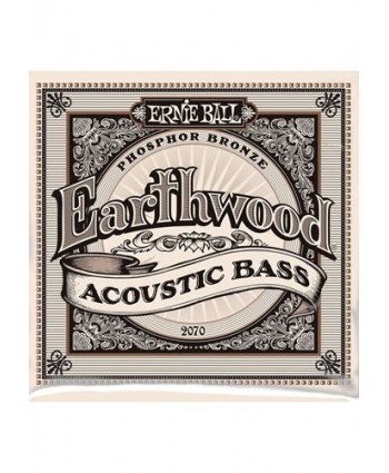 Ernie Ball EB 2070 Earthwood