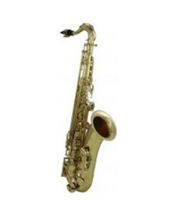 Roy Benson Bb-Tenor Saxophon TS-202