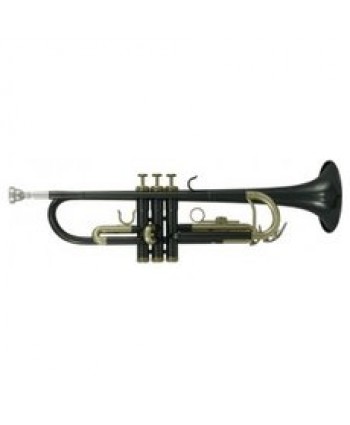 Roy Benson Bb-Trumpet TR-101K